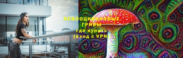 прущие крисы Бугульма